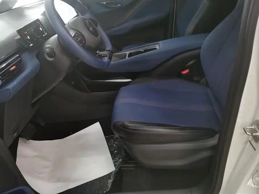 BYD Seagull 2024 305km Freedom