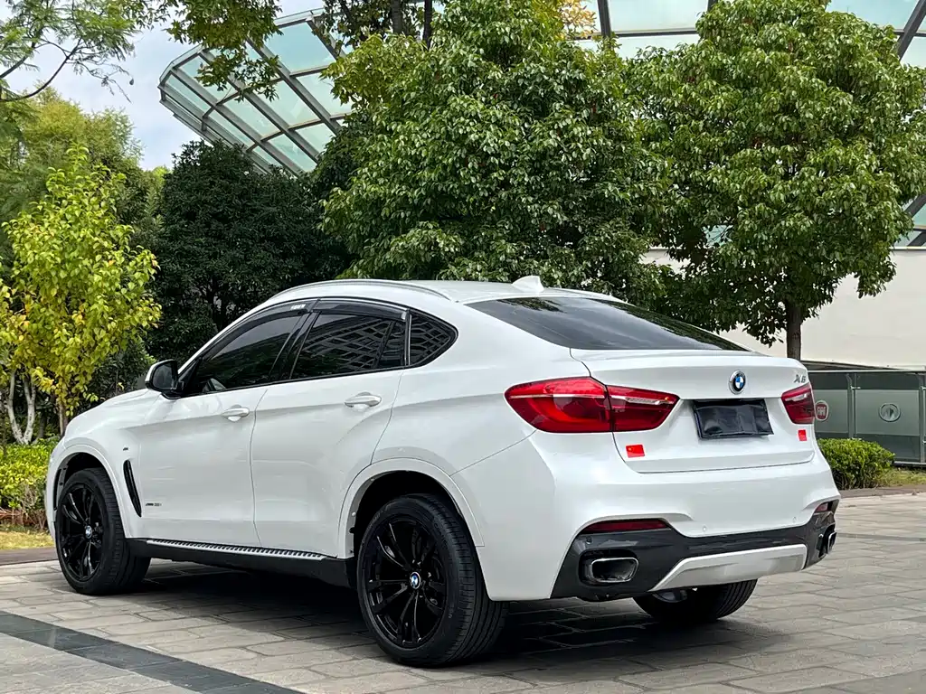 BMW X6 — миниатюра 9