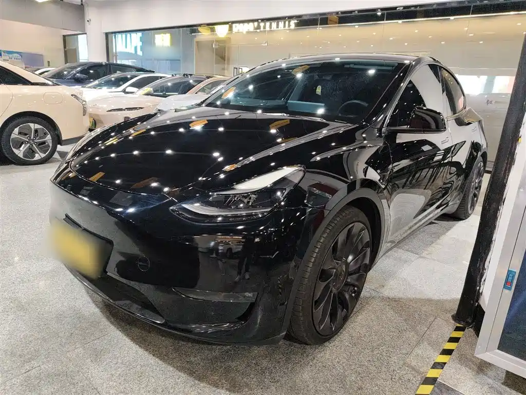 Tesla Model Y 2022 Performance