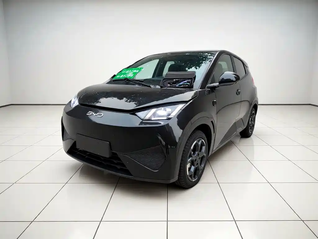BYD Seagull 2025 Smart Drive 305km Freedom