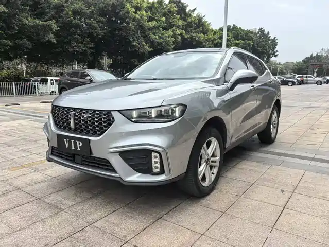 wei-pai wei-brand-vv5