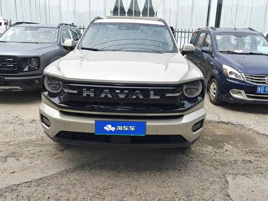 Haval Плюс новая энергия. — миниатюра 2