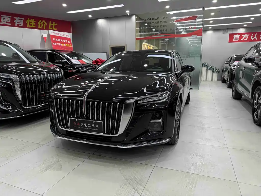 Hongqi Hongqi H5 2024