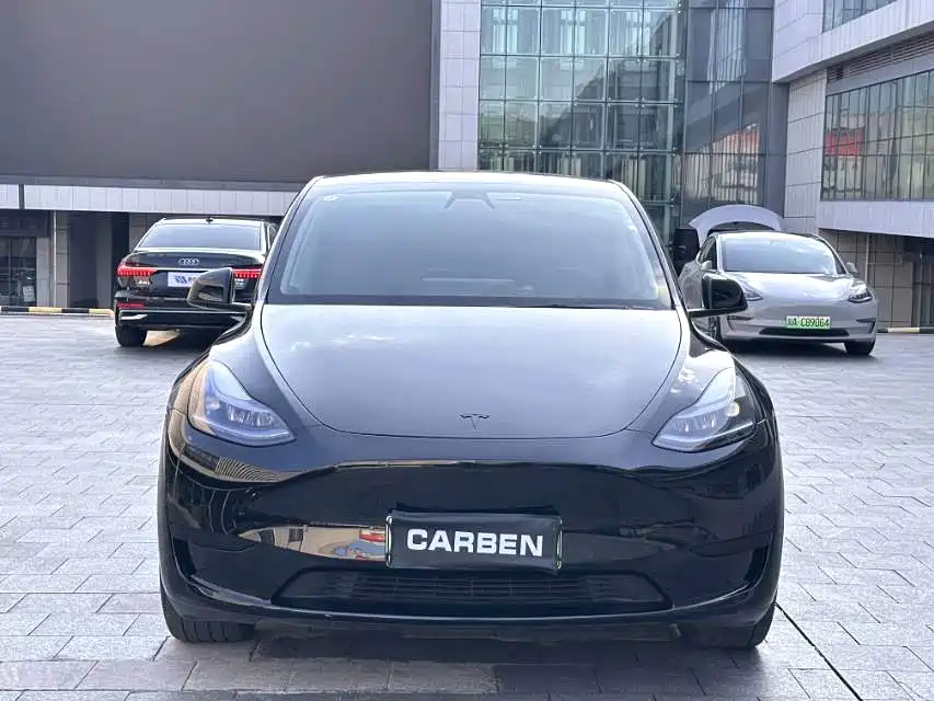 Tesla Model Y — миниатюра 2