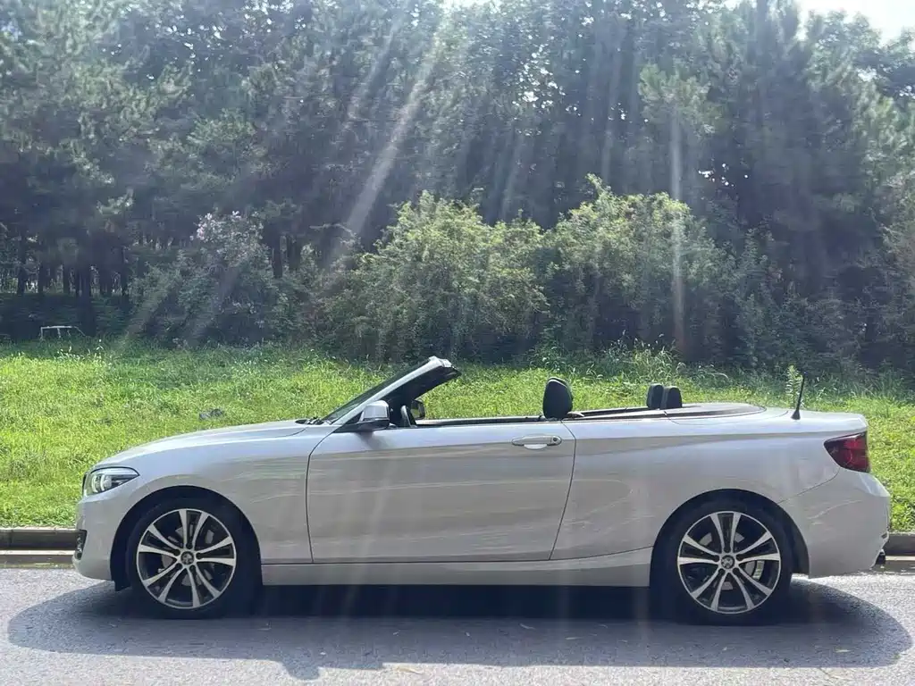 BMW 2 Series 2 2019 225i Sport