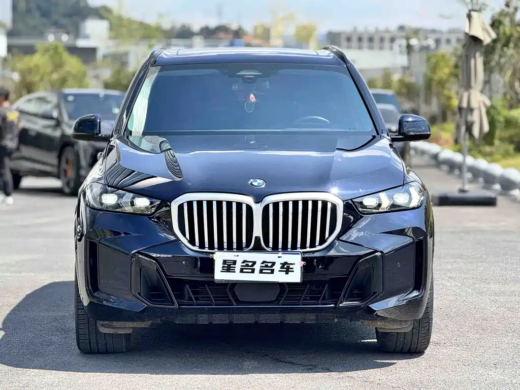BMW X5 — миниатюра 12