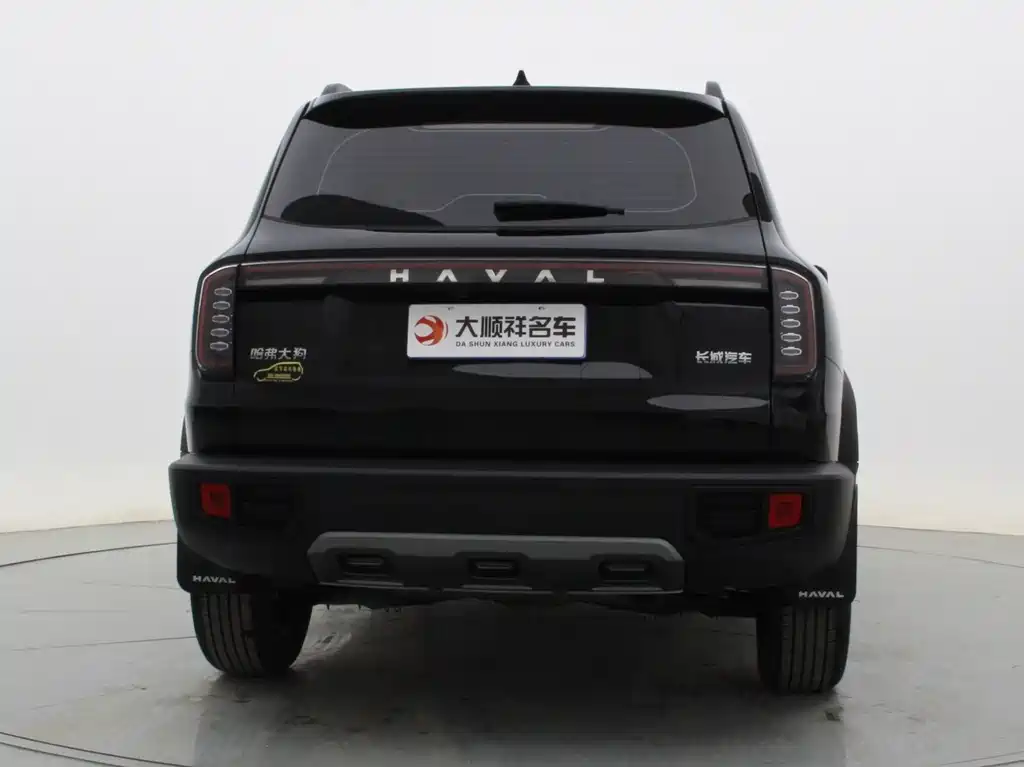 HAVAL BIG DOG