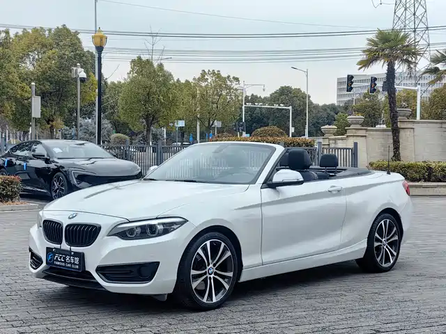 BMW 2 SERIES 2020