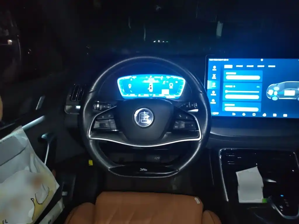 BYD Tang New Energy — миниатюра 12