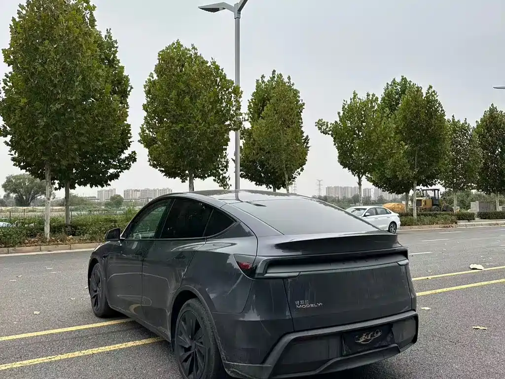 Tesla Model Y — миниатюра 9