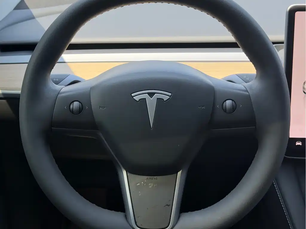 Tesla Model Y — миниатюра 10