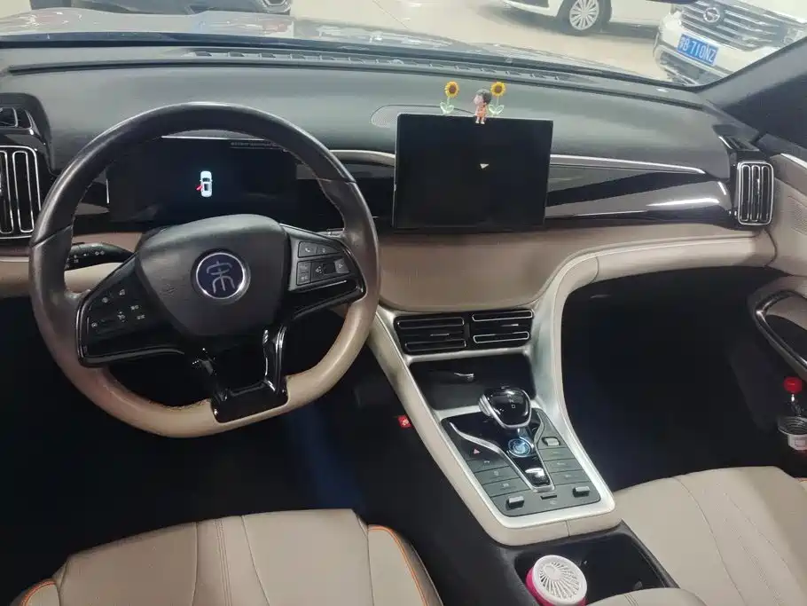 BYD Pro New Energy — миниатюра 12