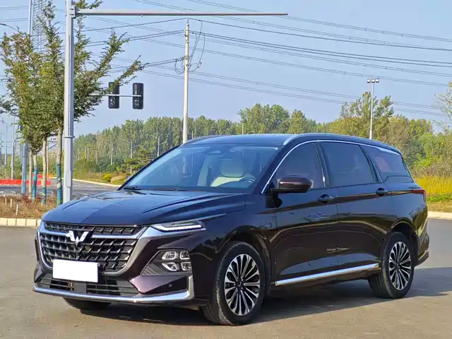WULING AUTOMOBILE WULING CAPGEMINI 2024