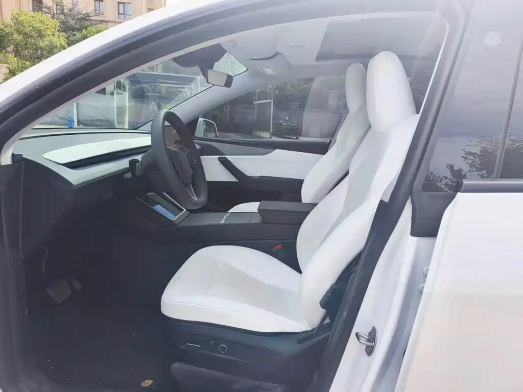Tesla Model Y — миниатюра 4