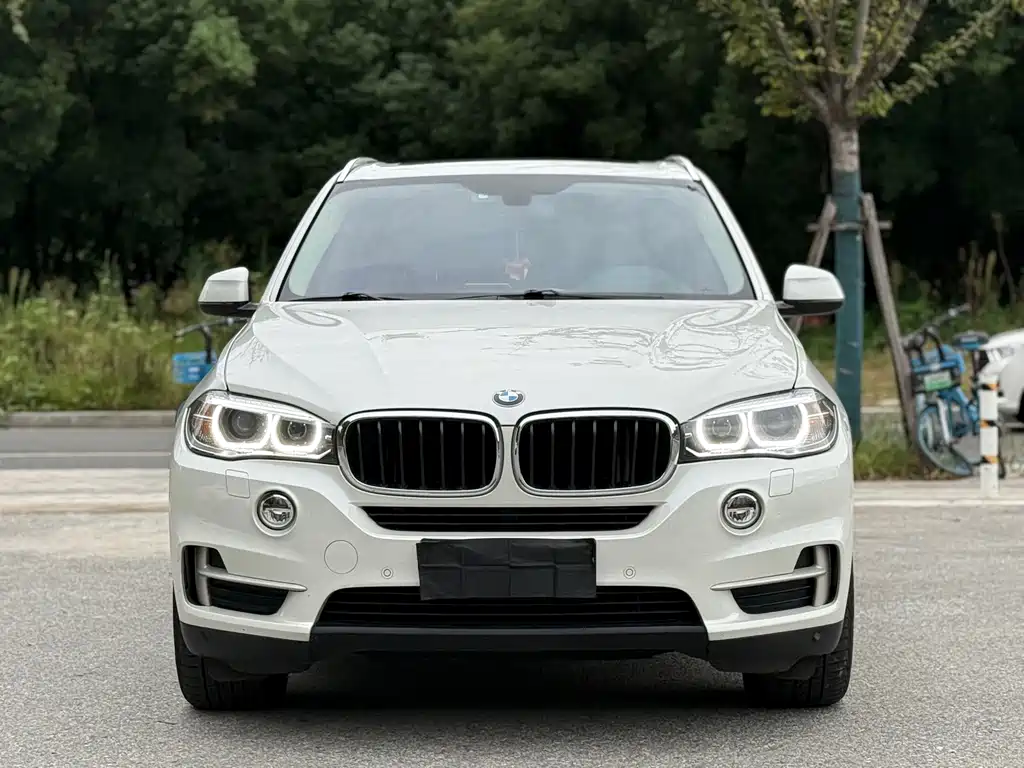 BMW X5 (Import) — миниатюра 2