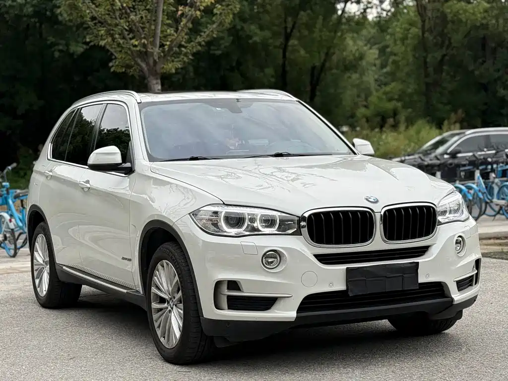 BMW X5 (Import) — миниатюра 3