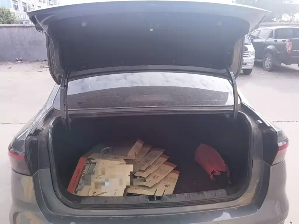Geely Emgrand — миниатюра 19