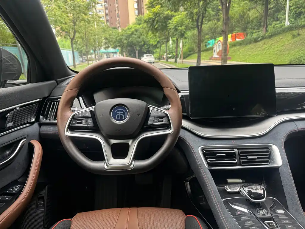 BYD PLUS — миниатюра 9