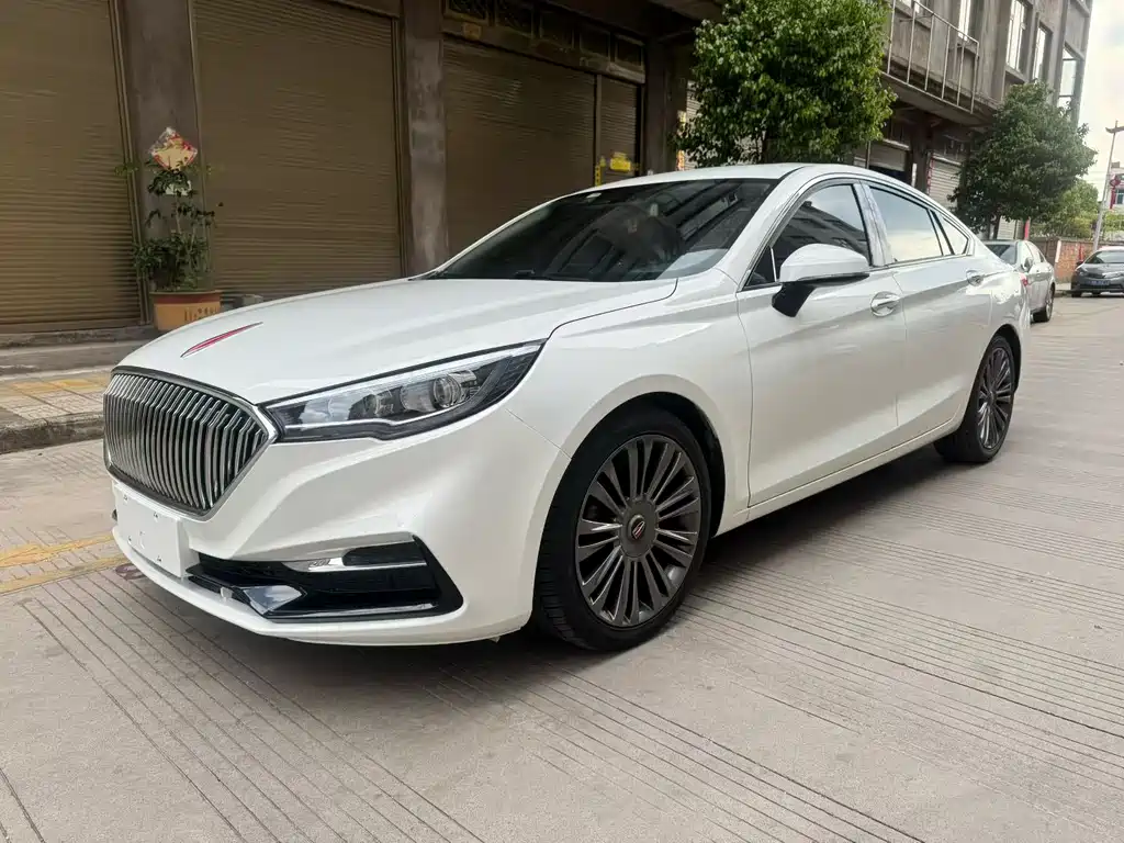 Hongqi Hongqi H5 2020