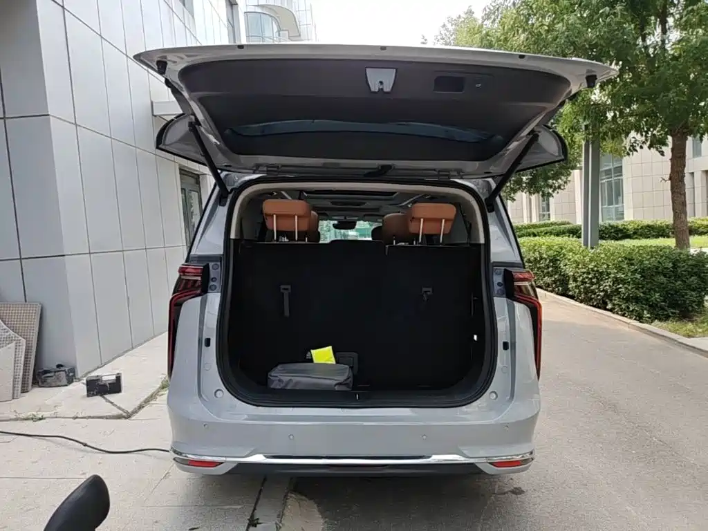 Maxus Dajia 9 — миниатюра 19