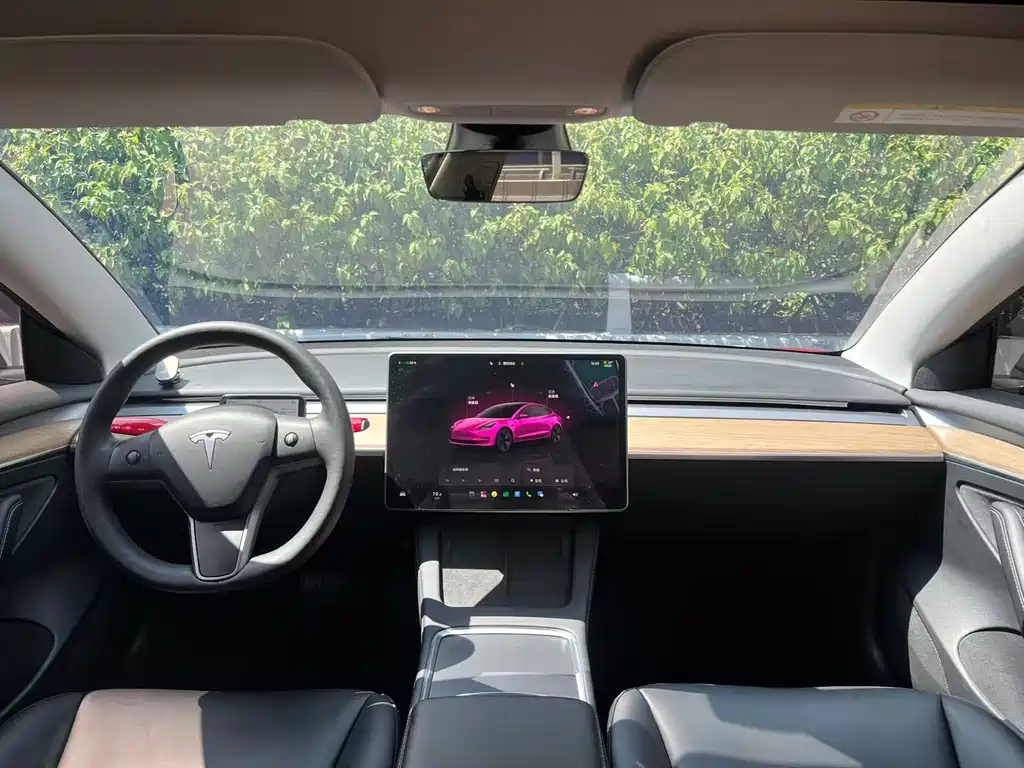 Tesla Model 3 — миниатюра 4