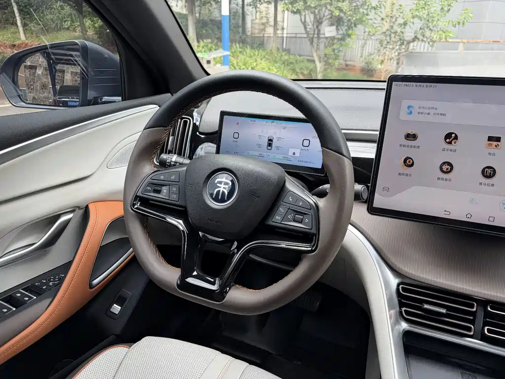 BYD Pro New Energy — миниатюра 13