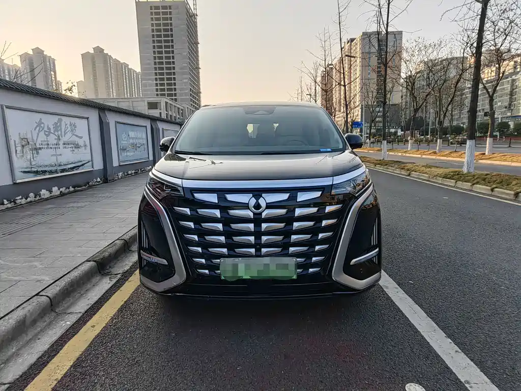 Denza Denza D9 — миниатюра 2