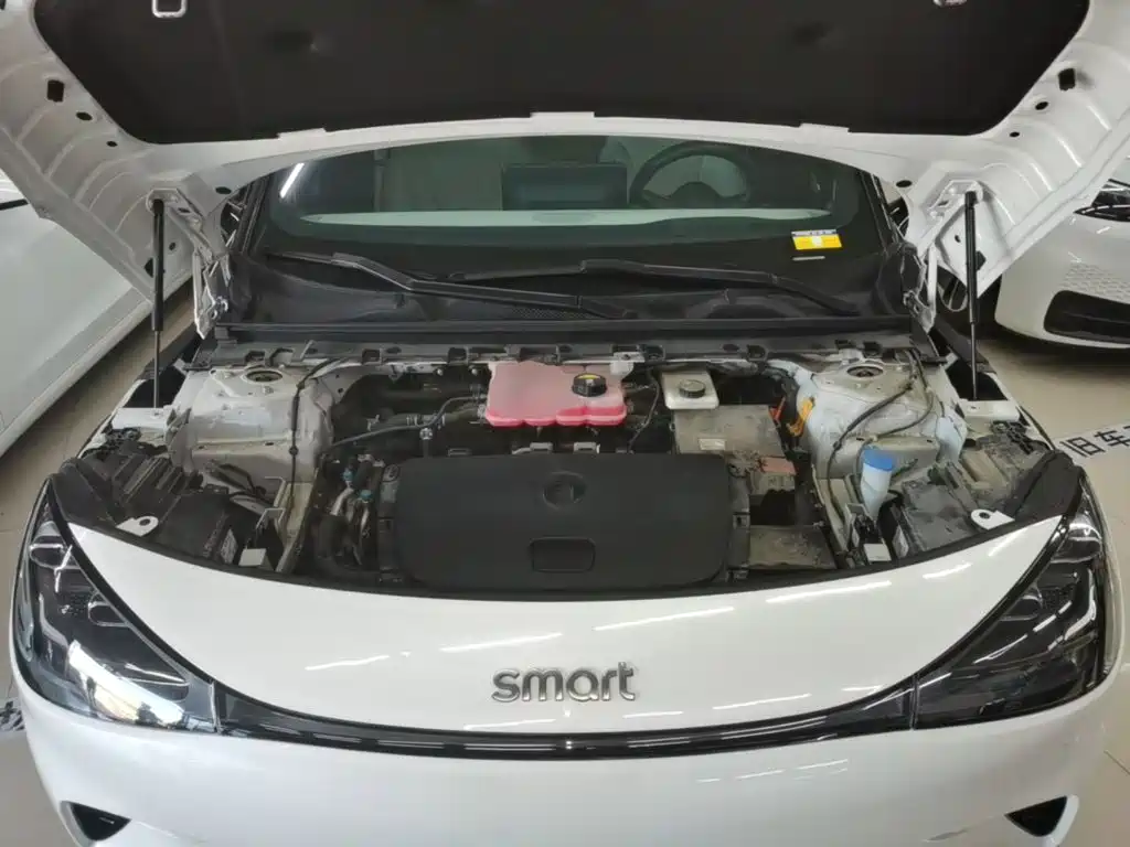smart Smart #1 — миниатюра 20