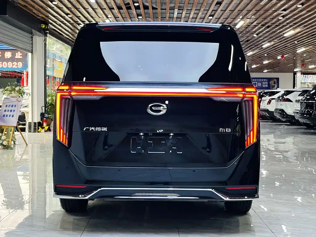 GAC Trumpchi M8 2024 — фото 20