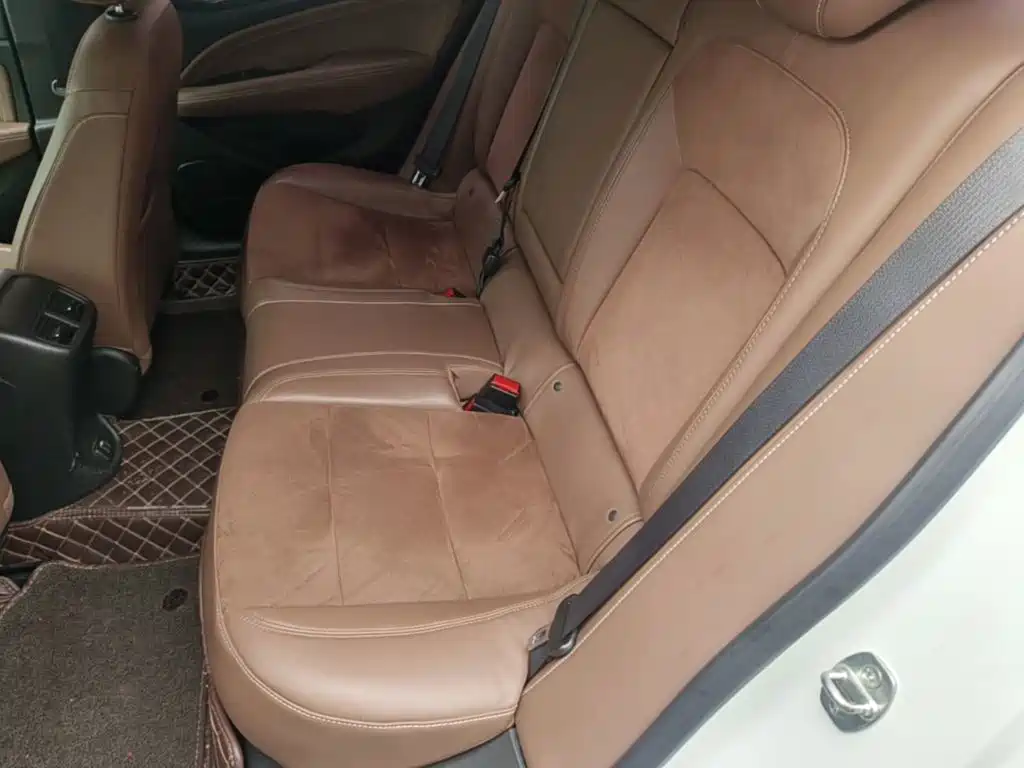 Buick Regal — миниатюра 17