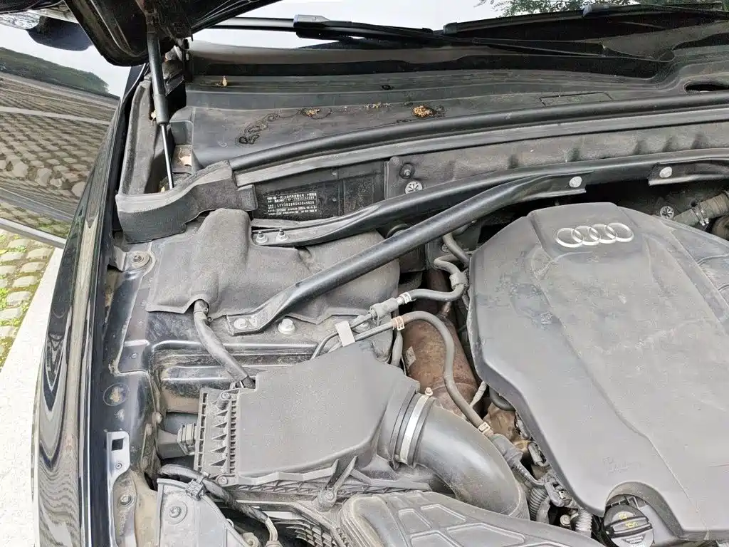 Audi Q5 — миниатюра 19