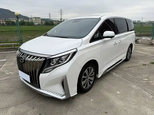 2020 GAC GN8