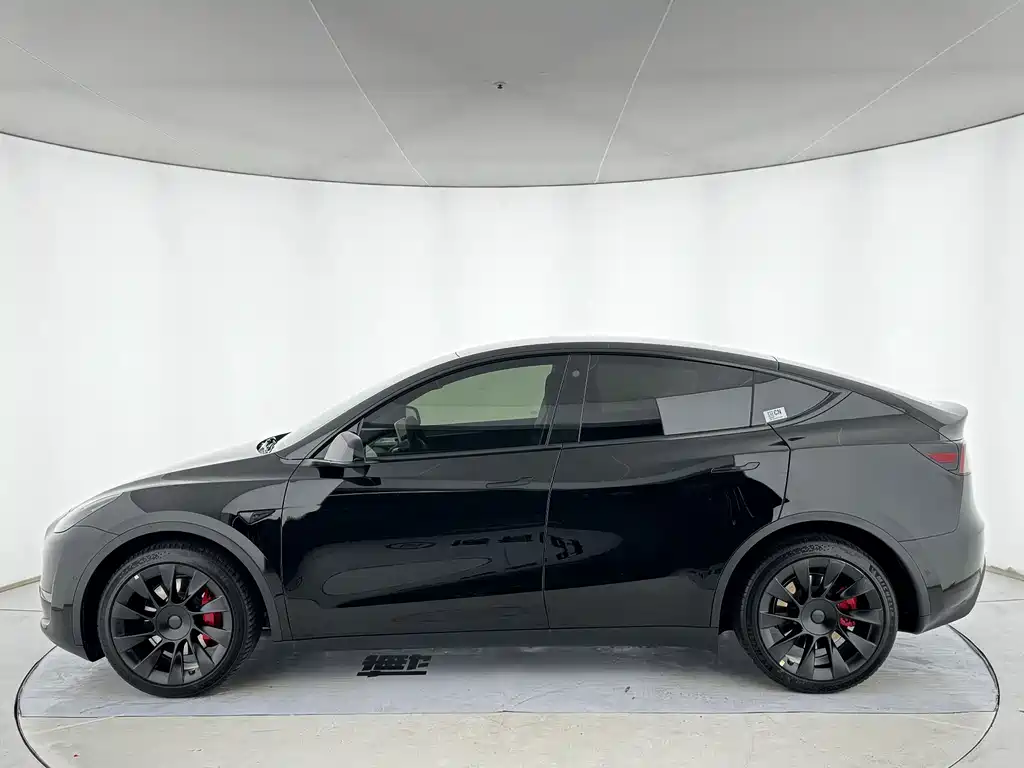 Tesla Model Y — миниатюра 2