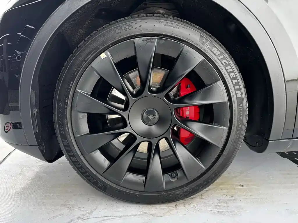 Tesla Model Y — миниатюра 15