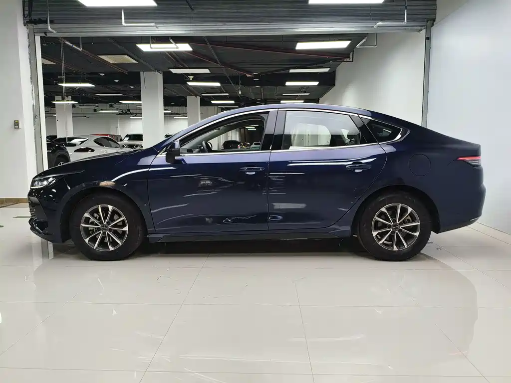 BYD Destroyer 05 2024 DM-i 55KM Luxury