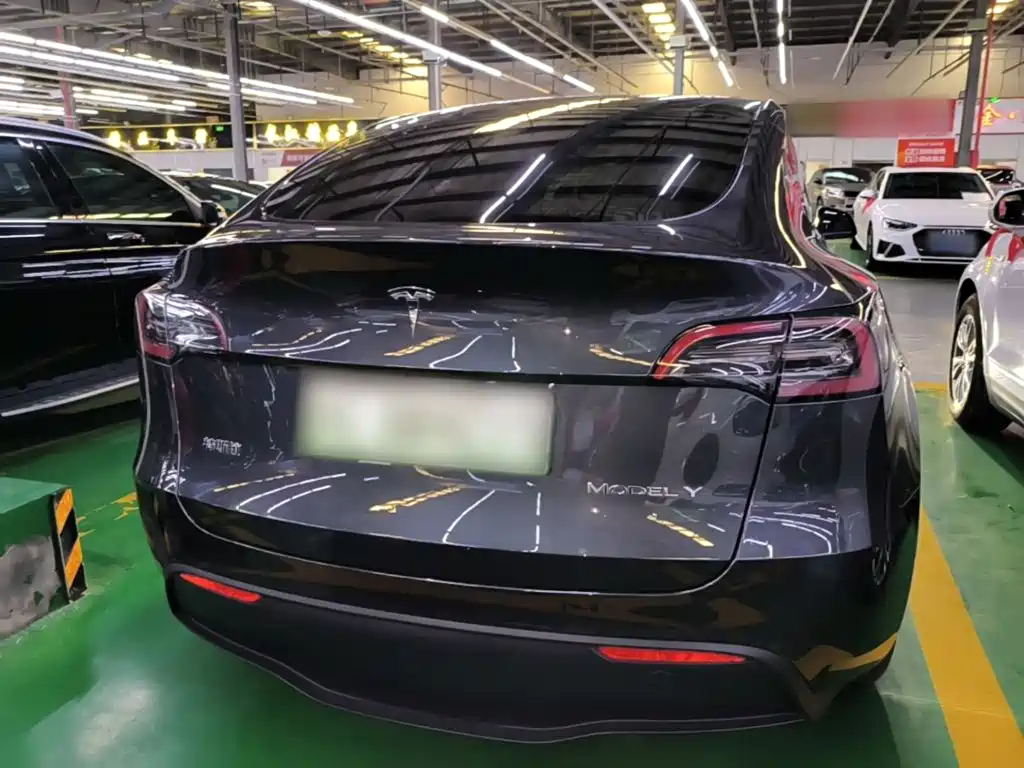 Tesla Model Y — миниатюра 6