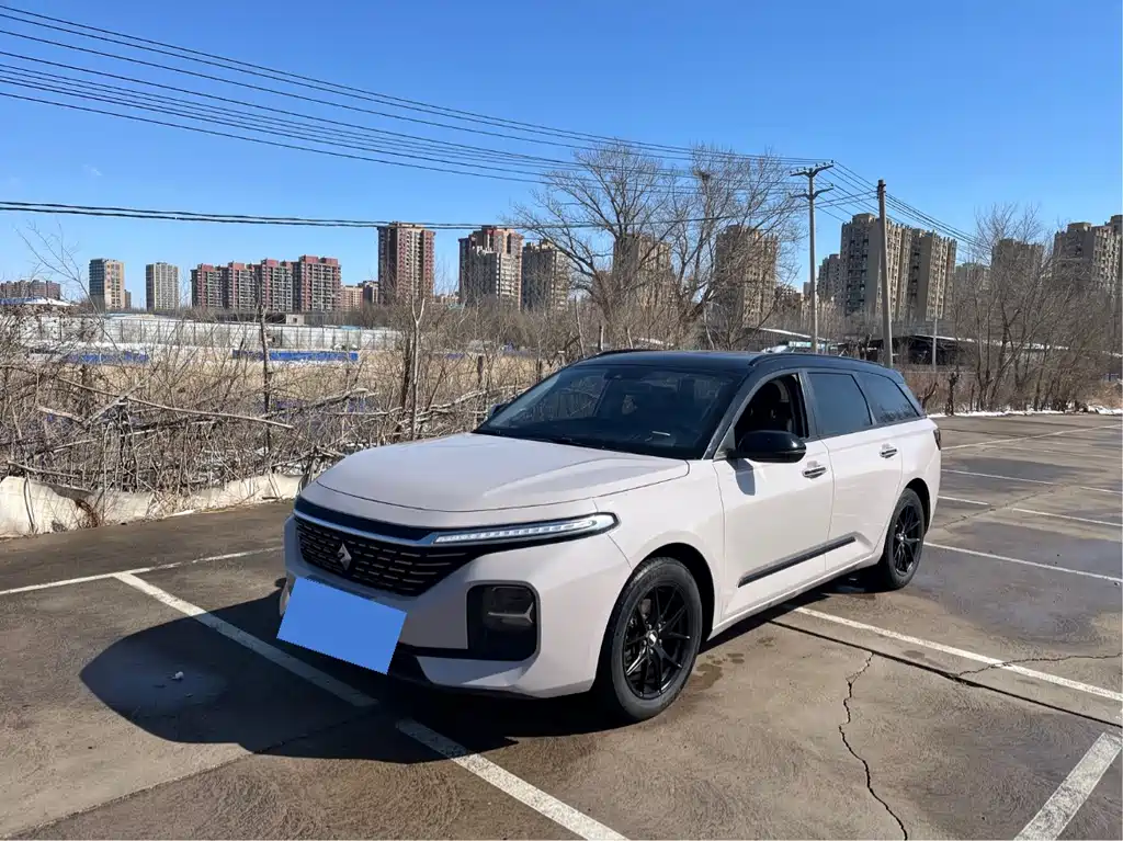 Baojun Valli 2021