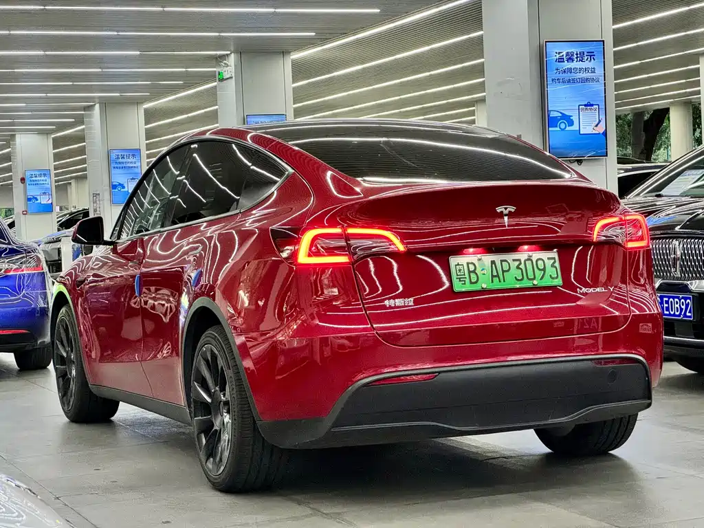 Tesla Model Y — миниатюра 7
