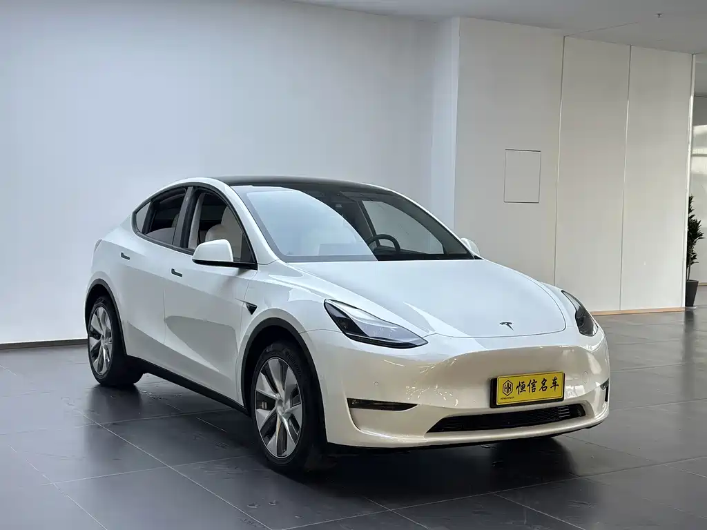 Tesla Model Y — миниатюра 3