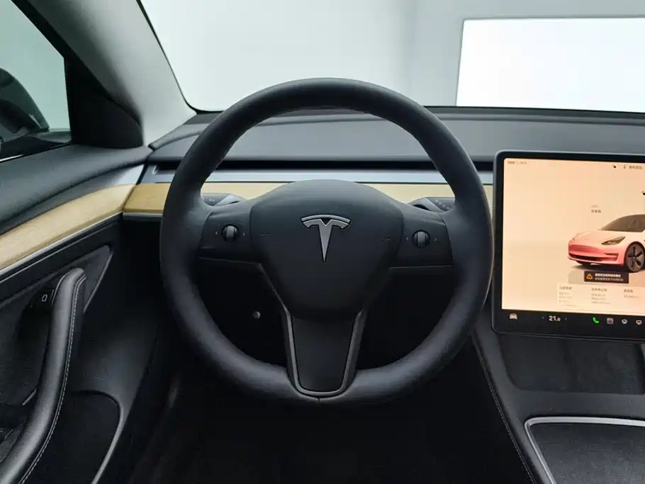 Tesla Model 3 — миниатюра 15