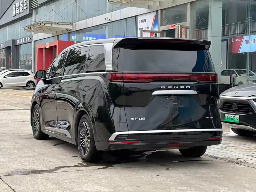 Denza Denza D9 — миниатюра 9