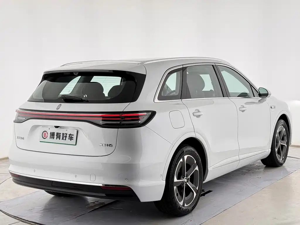 Shangjie Shangjie H5 — миниатюра 13