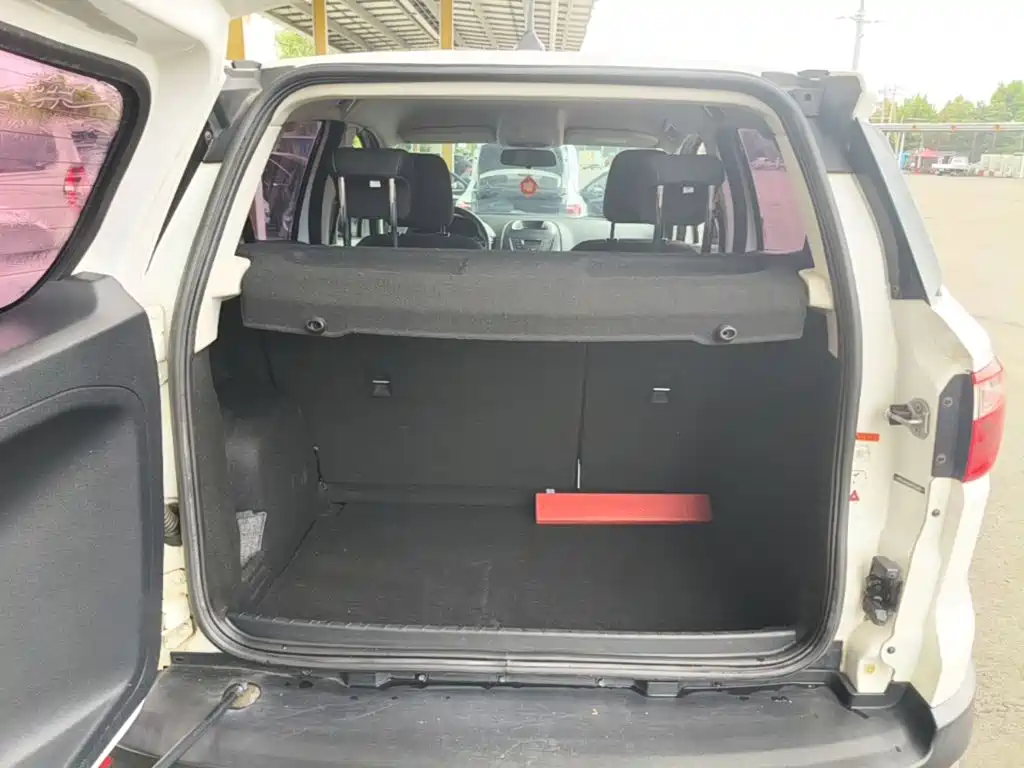 Ford Ecosport — миниатюра 19