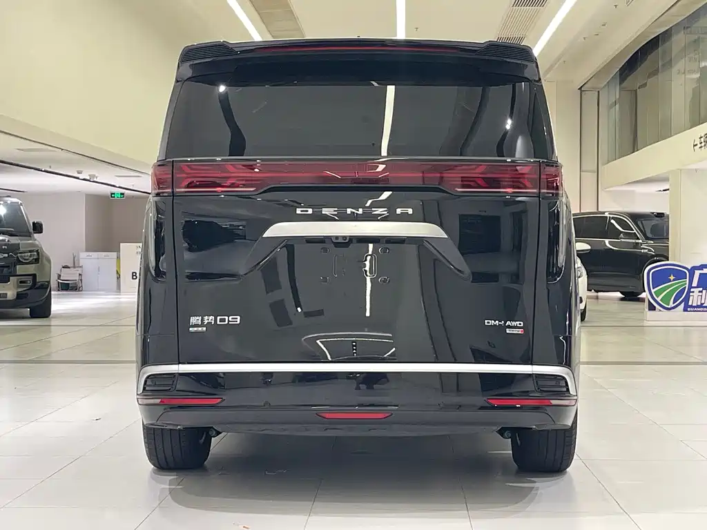 Denza Denza D9 — миниатюра 5