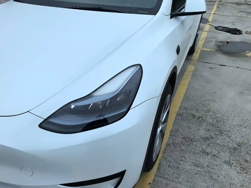 Tesla Model Y — миниатюра 24
