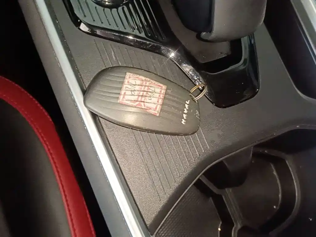 Haval Cool Dog — миниатюра 9