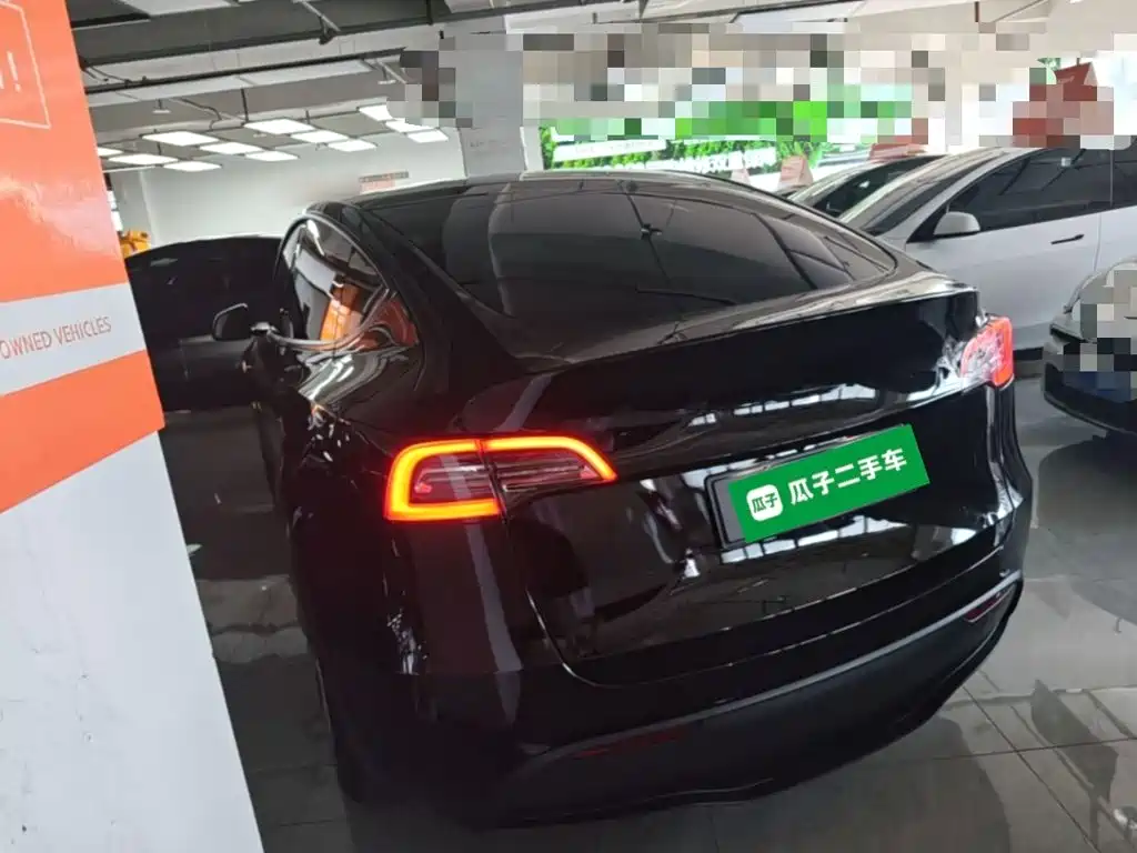 Tesla Model Y — миниатюра 5