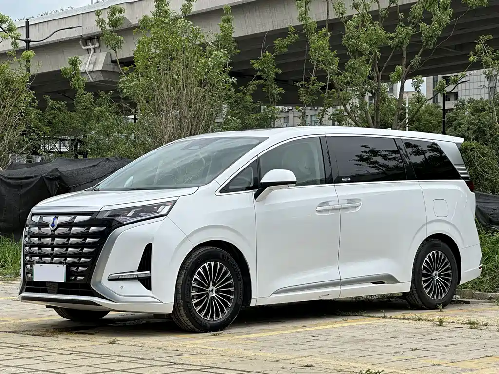 Denza D9
