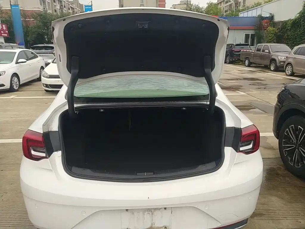 Buick Regal — миниатюра 19