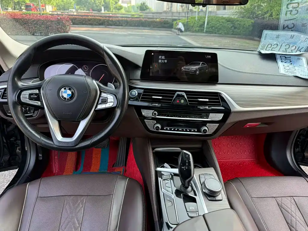BMW 5 Series 5 2019 530Li Premium Luxury